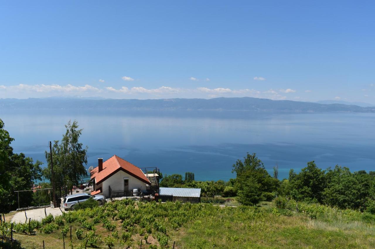 Risteski Guest House Elshani Buitenkant foto